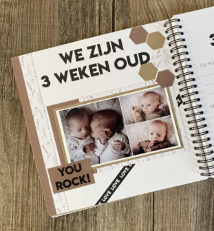 Studio Ins &amp; Outs - Invulboek Tweeling Baby&rsquo;s Ons Eerste Jaar - Baby Tweeling Dagboek - Herinneringen Boek
