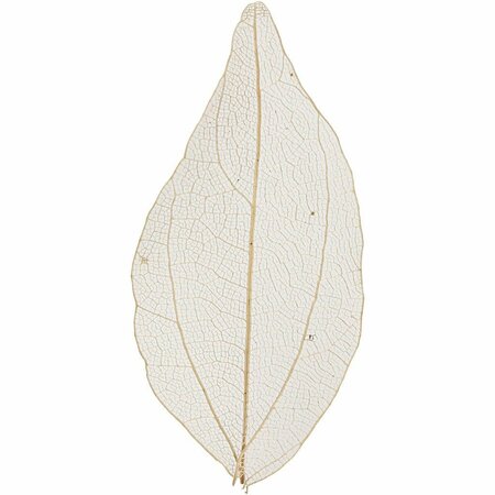 Skeleton Leaves - Geperste Skeletbladeren - Natuurlijke Lichtbruine Bladeren - 6-8 cm - 20 Stuks