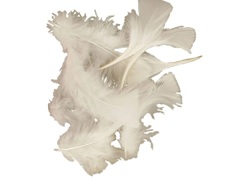 Kalkoendons - Knutselveren - Wit - 7-8 cm