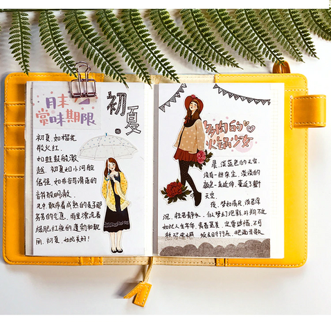 Scrapbook plaatjes - Foto Album - Dagboek Stickers - Poezie Album - Meisjes - Vrouwen - 12 stuks
