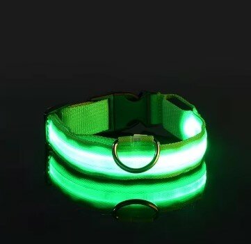 Groene Lichtgevende Hondenhalsband LED Verlichting