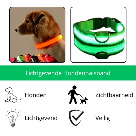 Groene Lichtgevende Hondenhalsband LED Verlichting