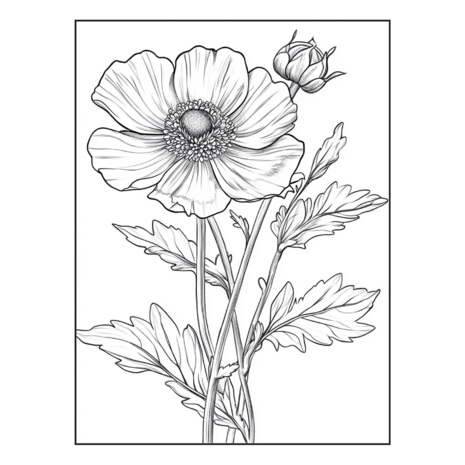 Bloemen Kleurboek - Bloemen Kleurplaten - Volwassenen En Kinderen Bloemboeketten - Kleurboek Natuur Wilde Bloemen - 21,59 x 21,59 cm - 40 Kleurplaten