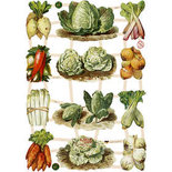 Vintage plaatjes, vel 16,5x23,5 cm, , groente, 3vellen