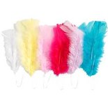 Veren, diverse kleuren, L: 11-17 cm, 18 bol/ 1 doos