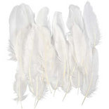 Veren - Ganzenveren - Decoratief - Wit - Afm. 10-18cm - Creotime - 70 stuks