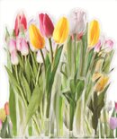 Stickers - Bloemen - Tulpen - Scrapbook plaatjes - Tulip - Meerdere Kleuren - 9x10,5cm - 40 stuks