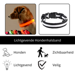 LED Hondenhalsband Lichtgevende Hondenhalsband Veiligheidshalsband Hond Glow In The Dark Halsband Fluorescerende Hondenhalsband Zichtbaarheid En Veiligheid Hond In Het Donker Nylon Hondenh