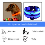 LED Hondenhalsband Lichtgevende Hondenhalsband Veiligheidshalsband Hond Glow In The Dark Halsband Fluorescerende Hondenhalsband Zichtbaarheid En Veiligheid Hond In Het Donker Nylon Hondenh