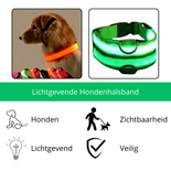 LED Hondenhalsband Lichtgevende Hondenhalsband Veiligheidshalsband Hond Glow In The Dark Halsband Fluorescerende Hondenhalsband Zichtbaarheid En Veiligheid Hond In Het Donker Nylon Hondenh