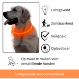 LED Hondenhalsband Lichtgevende Hondenhalsband USB Hondenhalsband Veiligheidshalsband Hond Glow In The Dark Halsband Knipperende LED Halsband Oplaadbare Hondenhalsband Micro USB Halsband