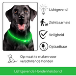 LED Hondenhalsband Lichtgevende Hondenhalsband USB Hondenhalsband Veiligheidshalsband Hond Glow In The Dark Halsband Knipperende LED Halsband Oplaadbare Hondenhalsband Micro USB Halsband