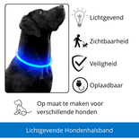 LED Hondenhalsband Lichtgevende Hondenhalsband USB Hondenhalsband Veiligheidshalsband Hond Glow In The Dark Halsband Knipperende LED Halsband Oplaadbare Hondenhalsband Micro USB Halsband