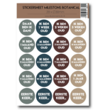 Studio Ins & Outs - Stickervel Milestones Botanical - Baby Mijlpaalstickers Leeftijden - Aardetinten - 20 Stickers