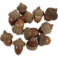 Echte Eikels - Herfstdecoratie DIY Eikels - Natuurlijke Knutselmaterialen Voor Creatieve Decoraties - Set van 12 stuks - Tafeldecoratie - Natuurmaterialen - Seizoensdecoratie