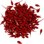 Kaarsenverf, rood, 10 gr/ 1 doos