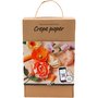 Crêpepapier starterskit bloemen