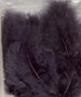 Marabou veren grijs 15 stuks