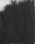 Marabou veren zwart 15 stuks