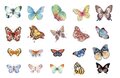 Stickers - Vlinder - Butterfly - Scrapbook plaatjes - Verschillende vrolijke kleuren - 40 stuks