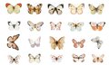 Stickers - Vlinder - Butterfly - Scrapbook plaatjes - Neutrale kleuren - 40 stuks