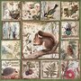 Scrapbook plaatjes - Foto Album - Stickers - Poezie Album - Bosdieren, Planten, Takken, Natuur - Vierkant - 13 stuks