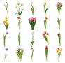 Stickers - Bloemen - Tulpen - Scrapbook plaatjes - Tulip - Meerdere Kleuren - 9x10,5cm - 40 stuks