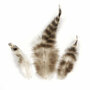 Veren Bruin - Decoratieve Chinchilla Veren - Knutselveren - Hobby Veren - Knutselveren - Sierveren - 7,5 en 9 cm - 3 Gram
