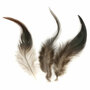 Hanenveren Donkerbruin - Decoratieve Bruine Veren - Knutselveren - Hobby Veren - Knutselveren - Sierveren - 3 g