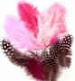 Marabou & Guinea Mix Rose - Decoratieve Roze Veren - Knutselveren - Hobby Veren - Knutselveren - Sierveren