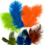 Marabou & Guinea Neon Oranje-Groen - Decoratieve Gekleurde Veren - Knutselveren - Hobby Veren - Knutselveren - Sierveren