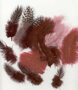 Marabou & Guinea Mix Bordeaux - Decoratieve Rode Veren - Knutselveren - Hobby Veren - Knutselveren - Sierveren