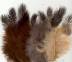 Marabou & Guinea Mix Earth - Decoratieve Bruine Veren - Knutselveren - Hobby Veren - Knutselveren - Sierveren