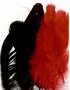 Veren Rood/Zwart - Decoratieve Rood/Zwarte Veren - Knutselveren - Hobby Veren - Knutselveren - Sierveren - 15 Stuks