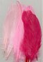 Veren Roze - Decoratieve Roze Veren - Knutselveren - Hobby Veren - Knutselveren - Sierveren - 15 Stuks