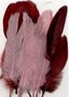 Veren Bordeaux Rood - Decoratieve Rode Veren - Knutselveren - Hobby Veren - Knutselveren - Sierveren - 15 Stuks