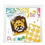 Pixelhobby medaillon startset leeuw