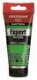 Amsterdam Acrylverf Expert - 618 Permanentgroen Licht - Acrylverf - Sneldrogende Verf - Pigmentrijke Verf - Kunstschildersverf - Kleurrijke Verf - DIY Schilderen - 75 ml