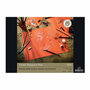 Sanguine Red Tekenpapier 180 Grams - A3 Tekenpapier - Hobbykarton - Stevig Papier - A3 Papier 180 grams - Knutselpapier Knutselkarton - Rood - 29,7x42 cm - Rembrandt