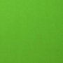 Karton - Cardstock - Gladde Afwerking - A4 - frog - Groen - 216 grams - Florence - 10 vellen