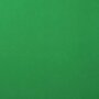Karton - Cardstock - Gladde Afwerking - A4 - holly - Groen - 216 grams - Florence - 10 vellen