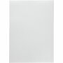 Parelmoerpapier - Zilver A4 Karton - Glanzend Creatief Papier - DIY Knutselpapier Voor Luxe Decoratieprojecten - Stevige Hoogwaardige Kwaliteit - Formaat: 21x29,7 cm - Gewicht: 120 gram - Set van 10 V