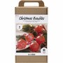 Hobbyset Kerstballen Marmeren – Kerstballen Set – DIY Kerstversiering – Gemarmerde Kerstballen Maken – Met Instructies – Marmerverf, Kerstballen En Linten – 1 set