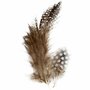 Parelhoenveren Bruin - Decoratieve Bruine Veren - Knutselveren - Hobby Veren - Knutselveren - Sierveren - 3g - 1 Doos