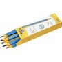 Potloden - Creatieve Hobby Potloden - DIY Tekenen En Kleuren - Lengte 14cm - Dikte 10mm - Vulling 4mm - Set Van 12 Stuks