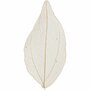 Skeleton Leaves - Skeletbladeren - Dunne Geperste Bladeren - Decoratie - Naturel Lichtbruin - Lengte: 6-8 cm - 20 stuks