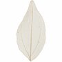 Skeleton Leaves - Geperste Skeletbladeren - Natuurlijke Lichtbruine Bladeren - 6-8 cm - 20 Stuks