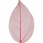 Skeleton Leaves - Skeletbladeren - Dunne Geperste Bladeren - Decoratie - Rood - Lengte: 6-8 cm - 20 stuks