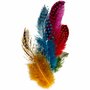 Parelhoenveren Divers - Decoratieve Veelkleurige Veren - Knutselveren - Hobby Veren - Knutselveren - Sierveren - 50g