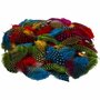 Parelhoenveren Bruin-Wit - Decoratieve Bruine Veren - Knutselveren - Hobby Veren - Knutselveren - Sierveren - 100 Stuks